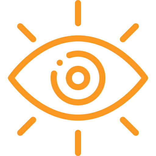 vision
