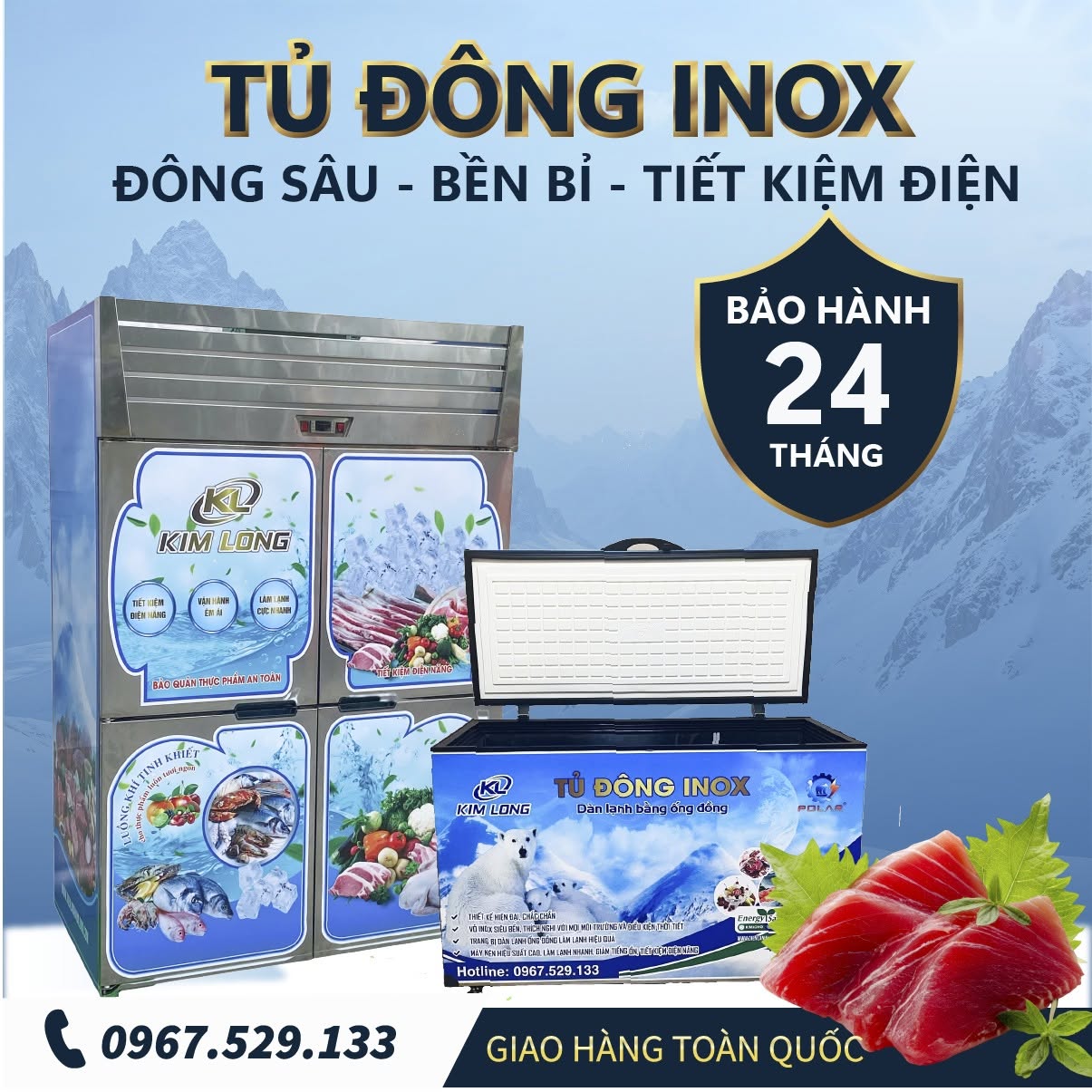 Tủ đông Kim Long – Giải pháp bảo quản thực phẩm hiệu quả, tiết kiệm điện - tối ưu chi phí 1 tu dong 1